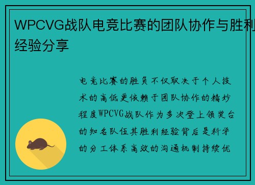 WPCVG战队电竞比赛的团队协作与胜利经验分享